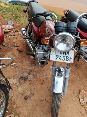 Bajaj Boxer 100 2025 Red