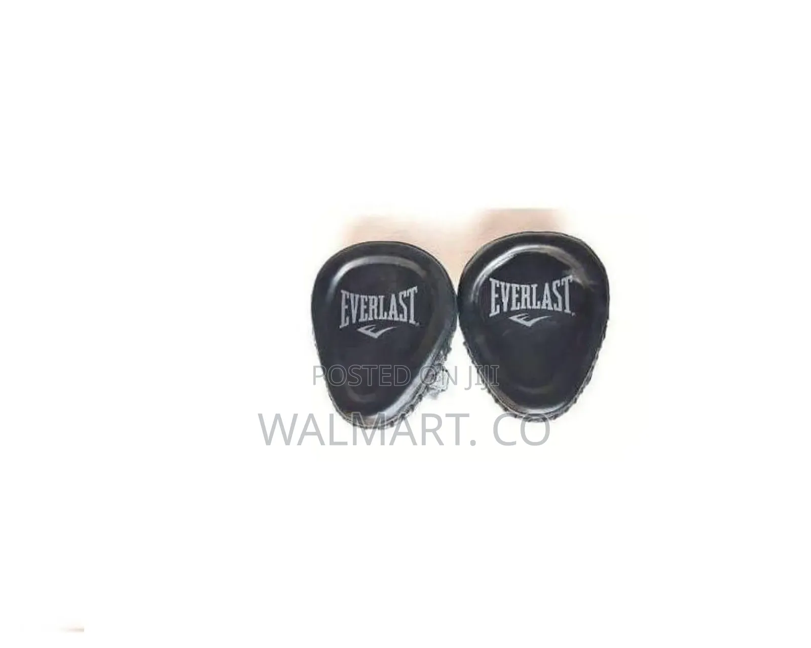 Everlast Boxing Focus Mitts