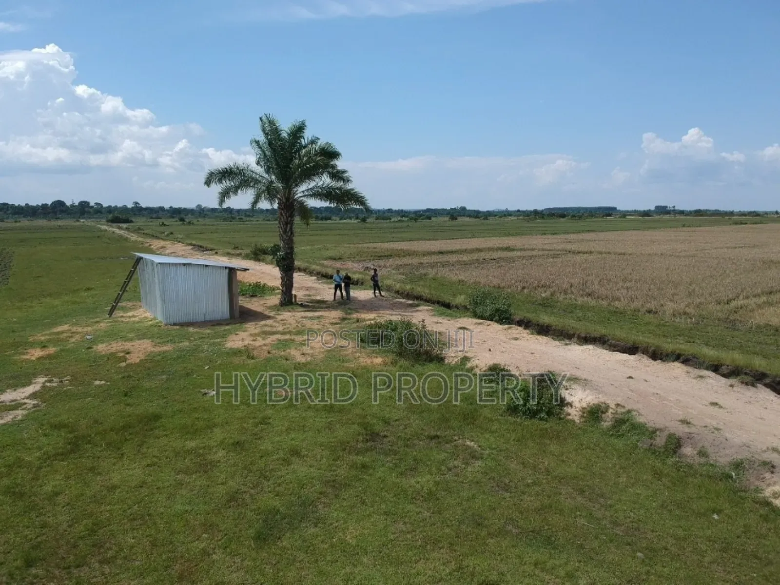 735acres Of Pure Black Fertile Land For Sale Along Masaka~Bukakata Rd.
