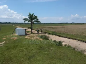 735acres Of Pure Black Fertile Land For Sale Along Masaka~Bukakata Rd.