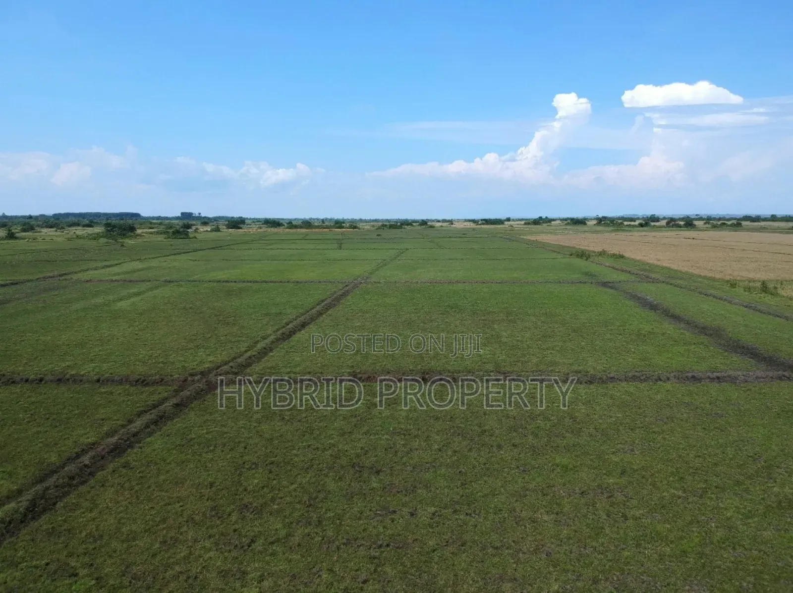 735acres Of Pure Black Fertile Land For Sale Along Masaka~Bukakata Rd.