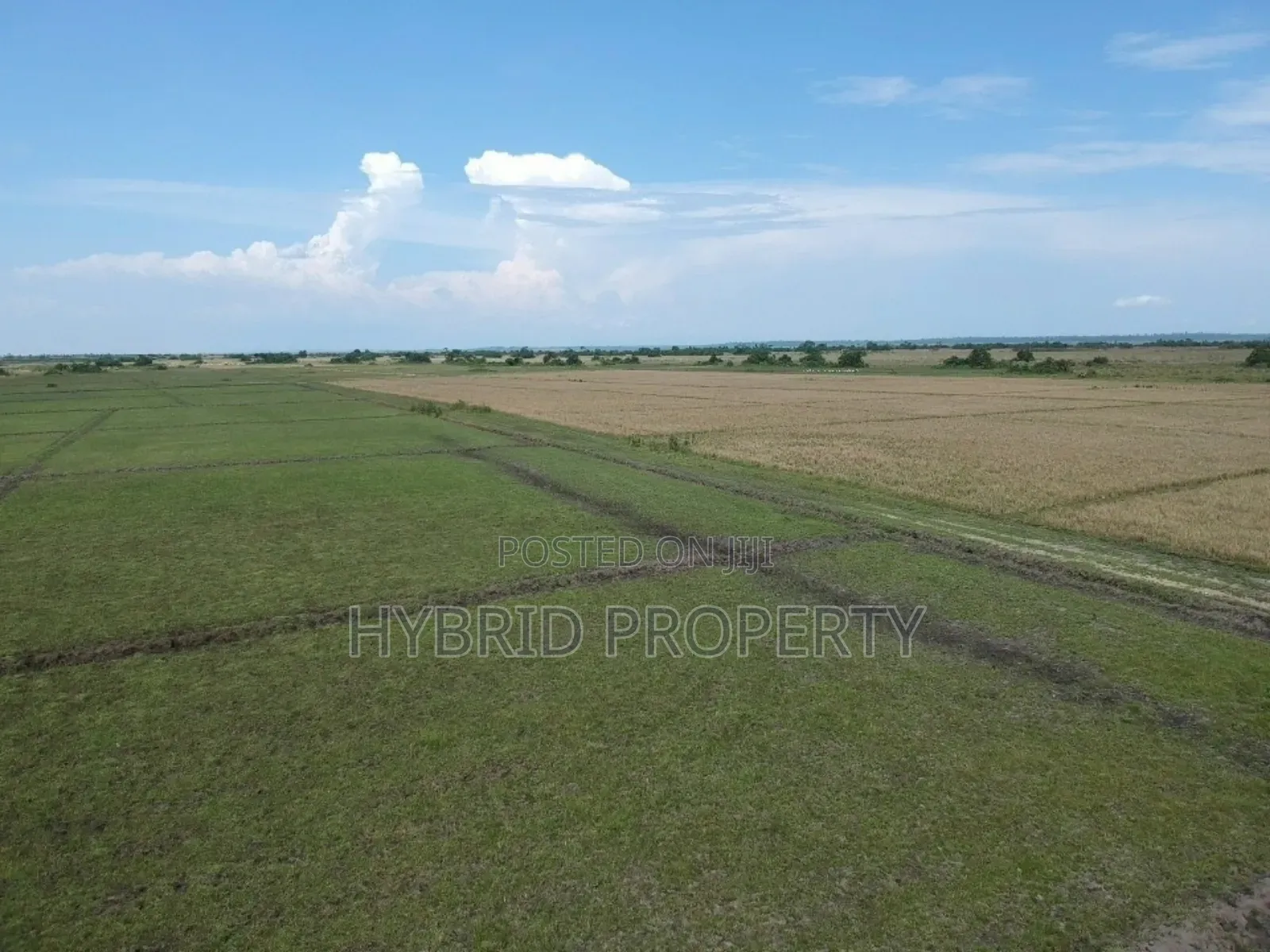735acres Of Pure Black Fertile Land For Sale Along Masaka~Bukakata Rd.