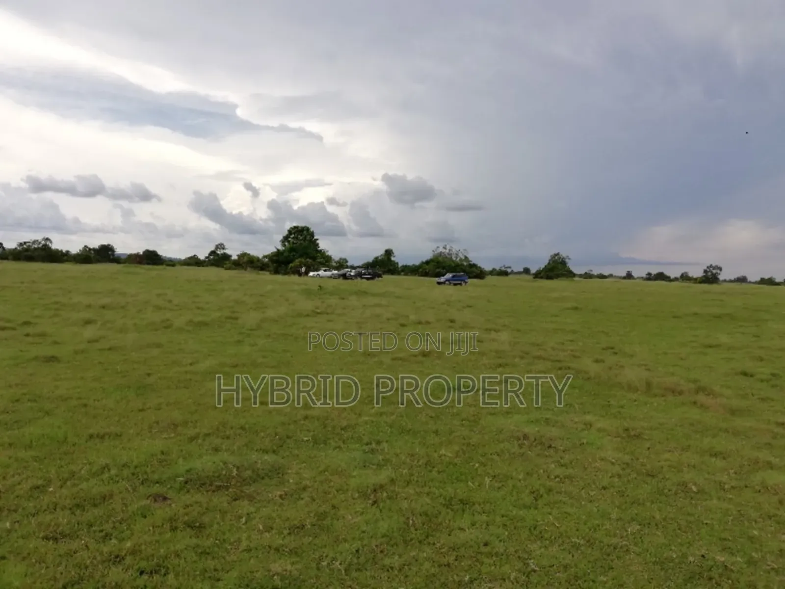 735acres Of Pure Black Fertile Land For Sale Along Masaka~Bukakata Rd.