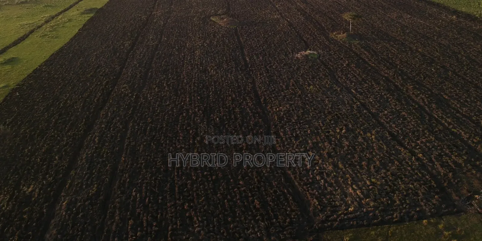 735acres Of Pure Black Fertile Land For Sale Along Masaka~Bukakata Rd.