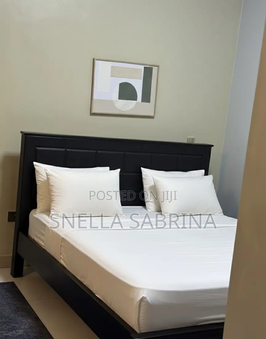 Furnished 1bdrm Apartment in Makindye for rent