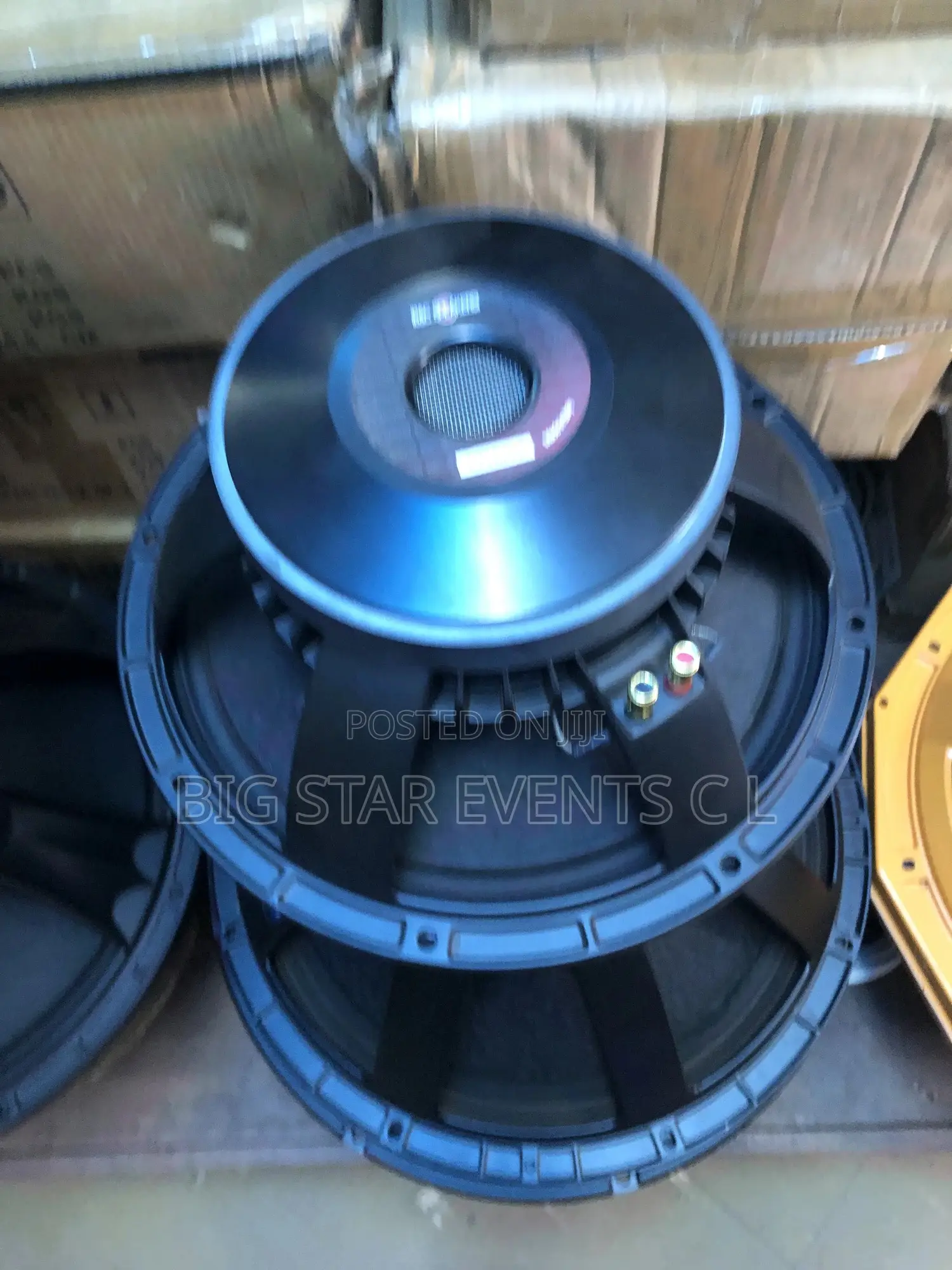 12 Woofers 175.5 Coil