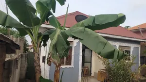 2bdrm Bungalow in Kira for sale