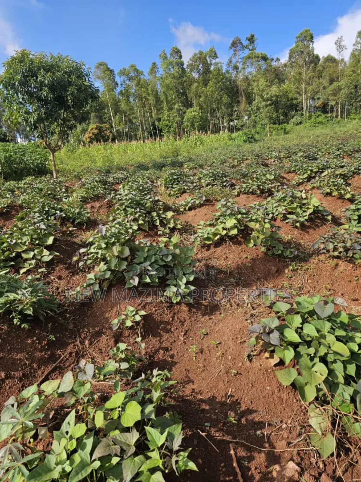 Full Acre on Forced Sale in Heart of Kitende Nalubude Along Ntebe Rd