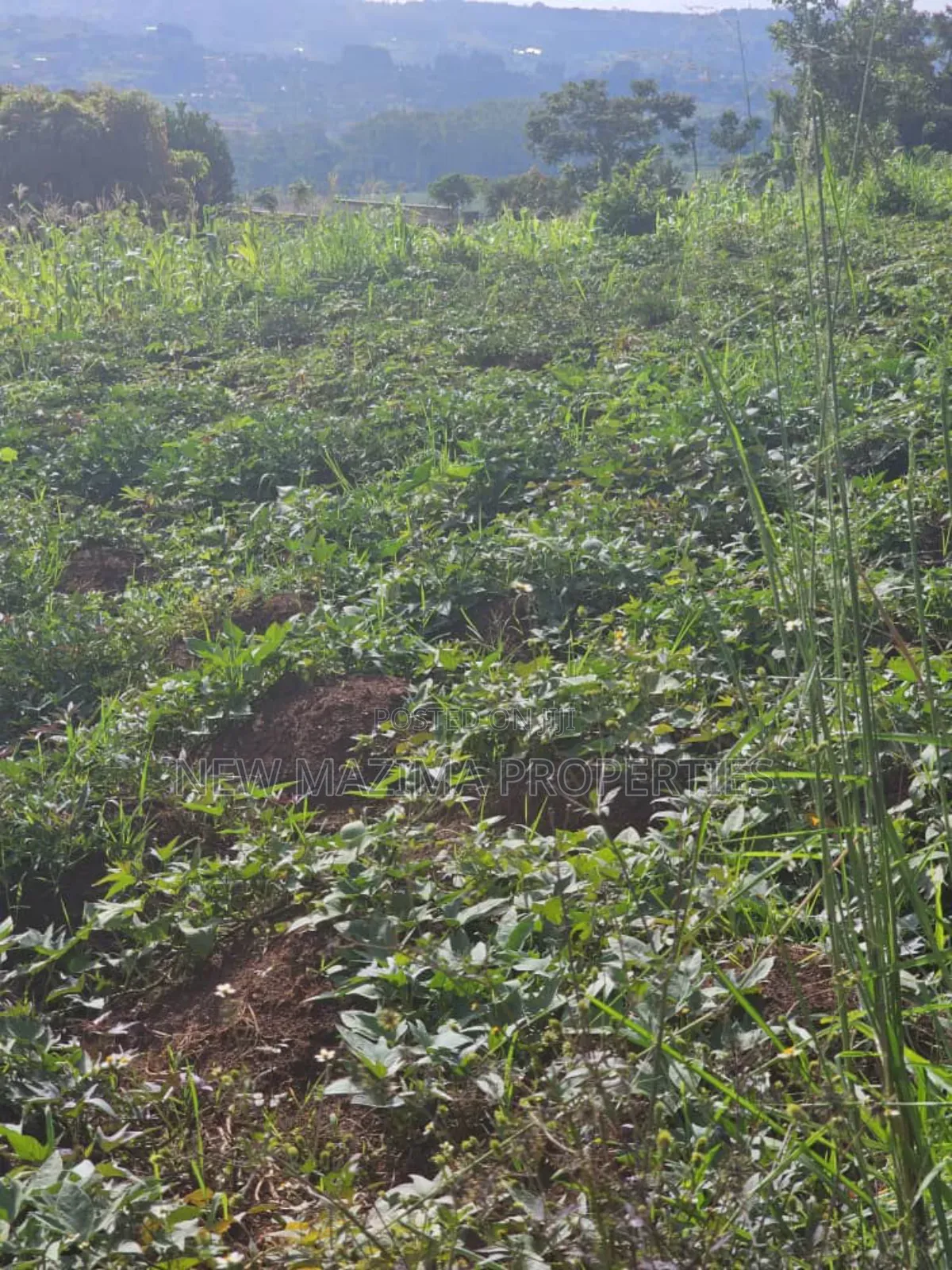 Full Acre on Forced Sale in Heart of Kitende Nalubude Along Ntebe Rd