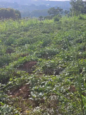 Full Acre on Forced Sale in Heart of Kitende Nalubude Along Ntebe Rd