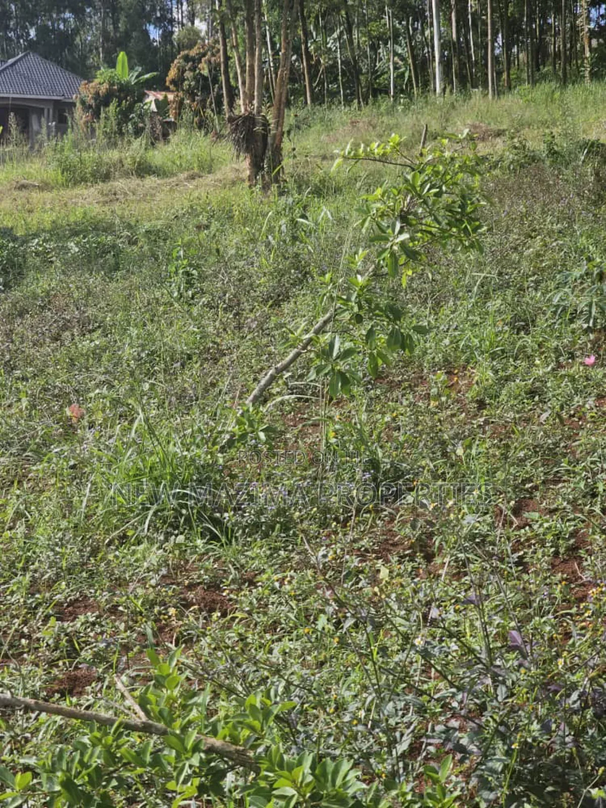 Full Acre on Forced Sale in Heart of Kitende Nalubude Along Ntebe Rd