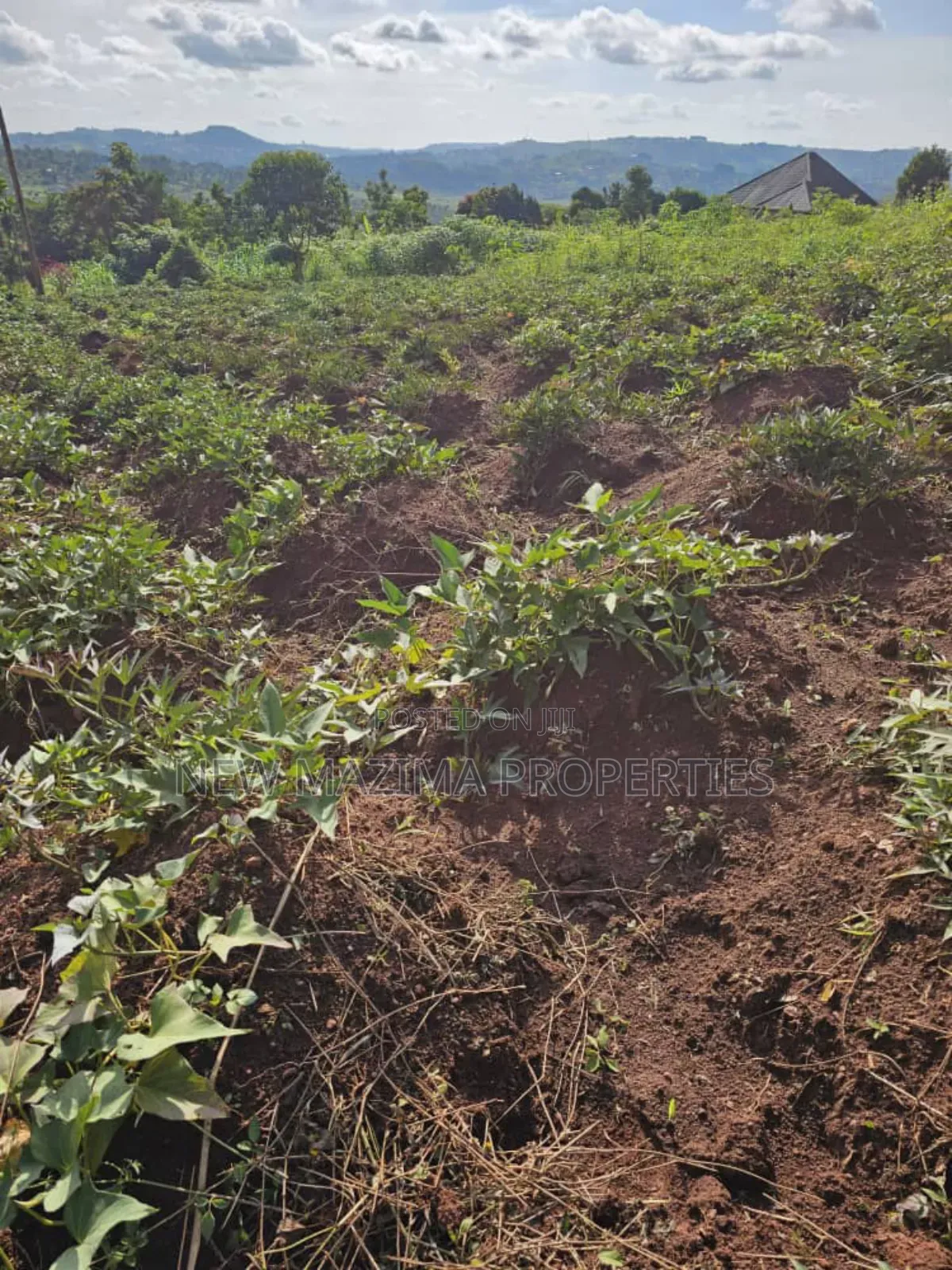 Full Acre on Forced Sale in Heart of Kitende Nalubude Along Ntebe Rd