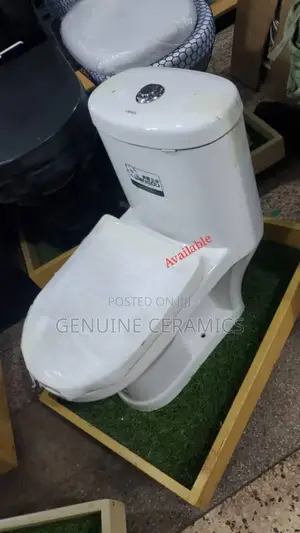 Baby Toilet Seat