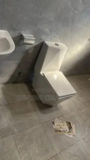 Diamond Toilet