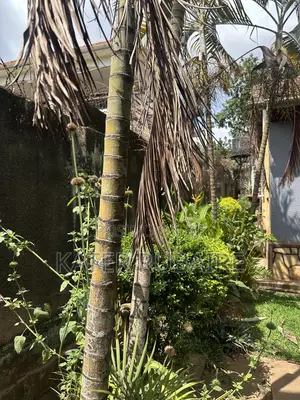 6bdrm House in Nsalo, Central Division for sale