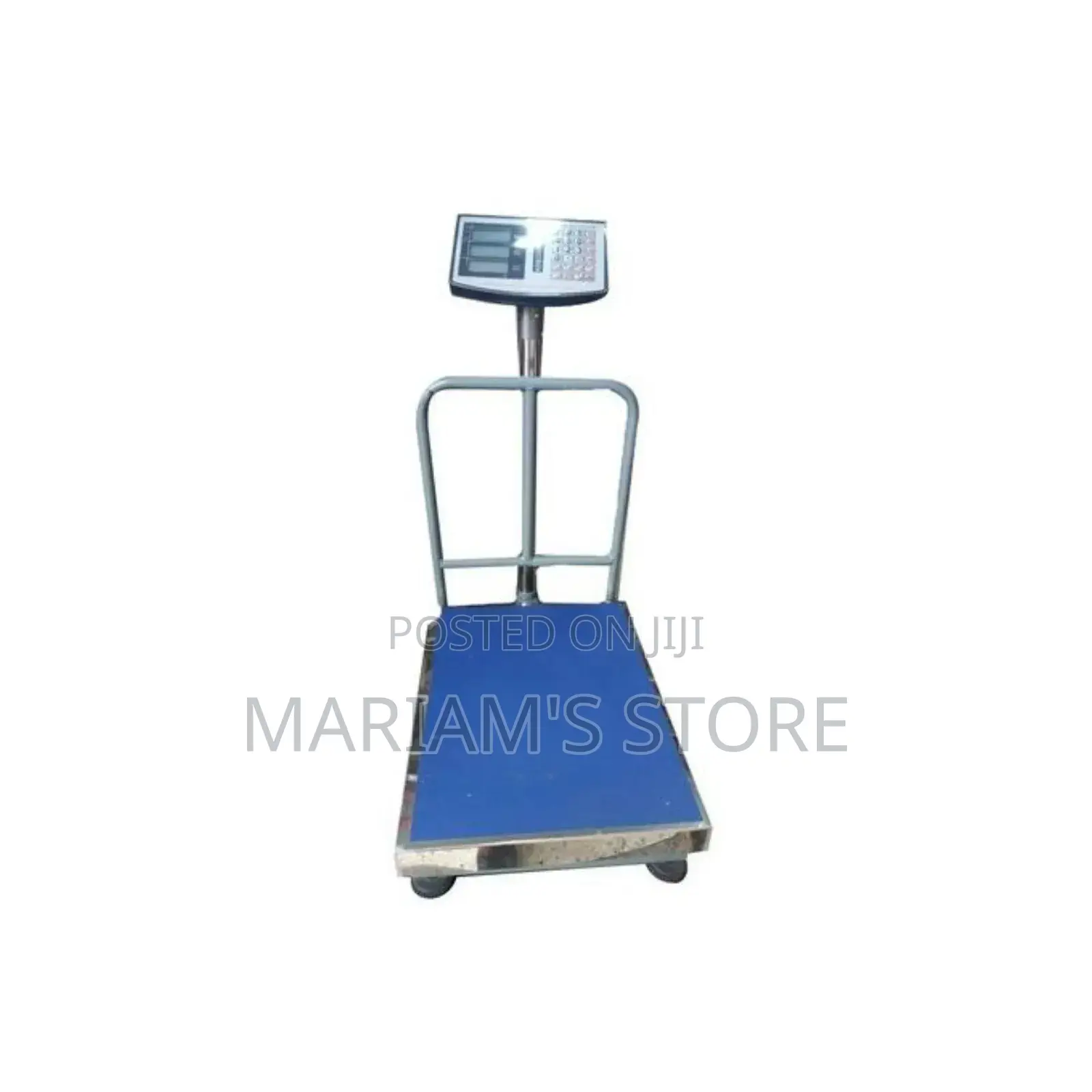 Electronic Rechargeable Digital Weighing Scale Of 300kgs-silver
