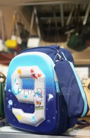 Generic School Bag For Teenage Boys And Girt