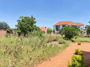 Najjera Kiwatule 100*100 Feet Plot of Land