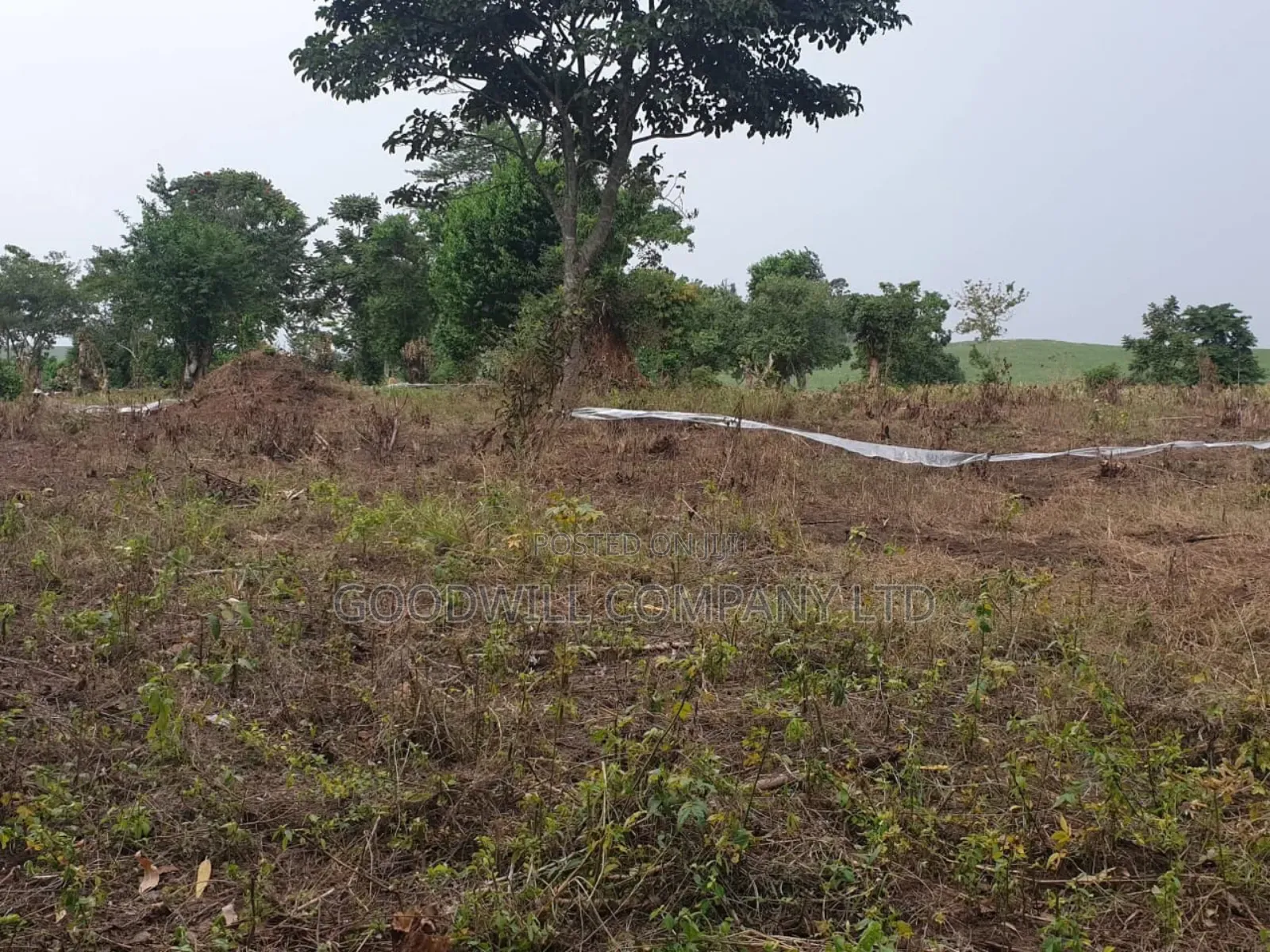 18acres of Land at Nakapinyi_mukono, Off Seeta High 1.8km Off Tarmac
