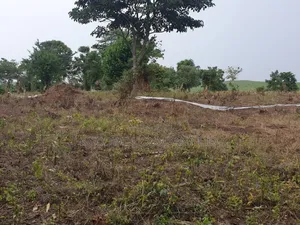 18acres of Land at Nakapinyi_mukono, Off Seeta High 1.8km Off Tarmac