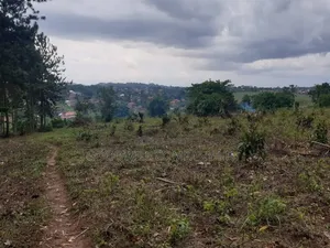 18acres of Land at Nakapinyi_mukono, Off Seeta High 1.8km Off Tarmac