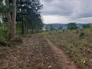 18acres of Land at Nakapinyi_mukono, Off Seeta High 1.8km Off Tarmac