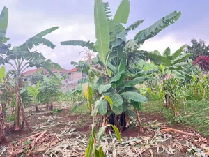 15decimals of Land at Kira Town