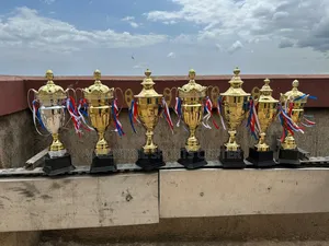 Same Size Trophies Gold Original Material