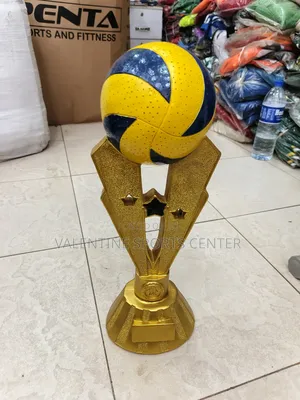 Volleyball Basketball Trophy Award Original Material