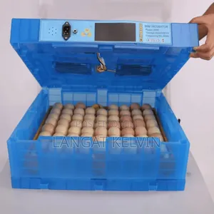 64 Eggs Automatic Incubator Good Quality