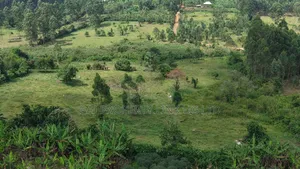 5 Acres Prime Land for Sale in Buheesi Sub-County!