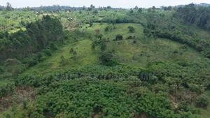 5 Acres Prime Land for Sale in Buheesi Sub-County!