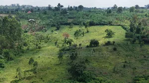 5 Acres Prime Land for Sale in Buheesi Sub-County!