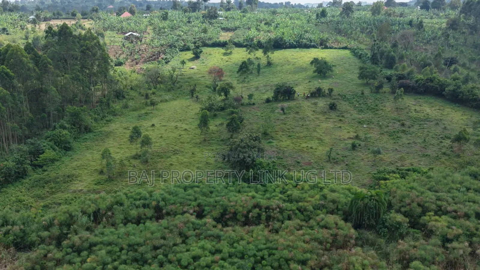 5 Acres Prime Land for Sale in Buheesi Sub-County!