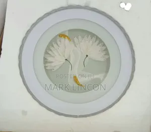 Modern Decorative Led Lamp