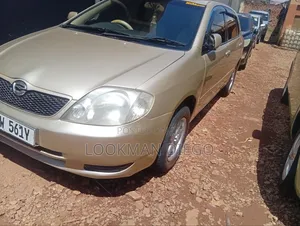 Toyota Allex 2006 Gold