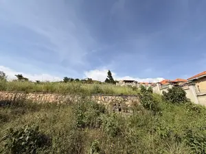 1 Acre Land for Sale in Lubowa Access Well Tarmac
