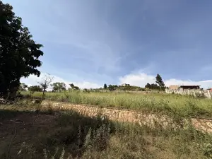 1 Acre Land for Sale in Lubowa Access Well Tarmac