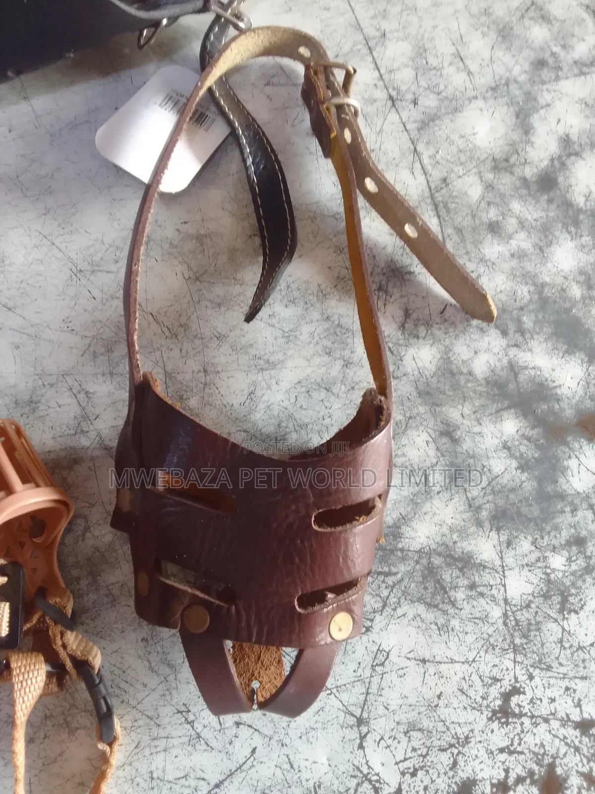 Muzzle for Dogs