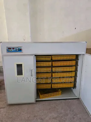 3168 Eggs Fully Automatic Egg Incubator