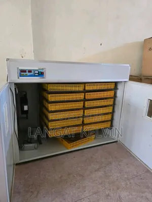 3168 Eggs Fully Automatic Egg Incubator