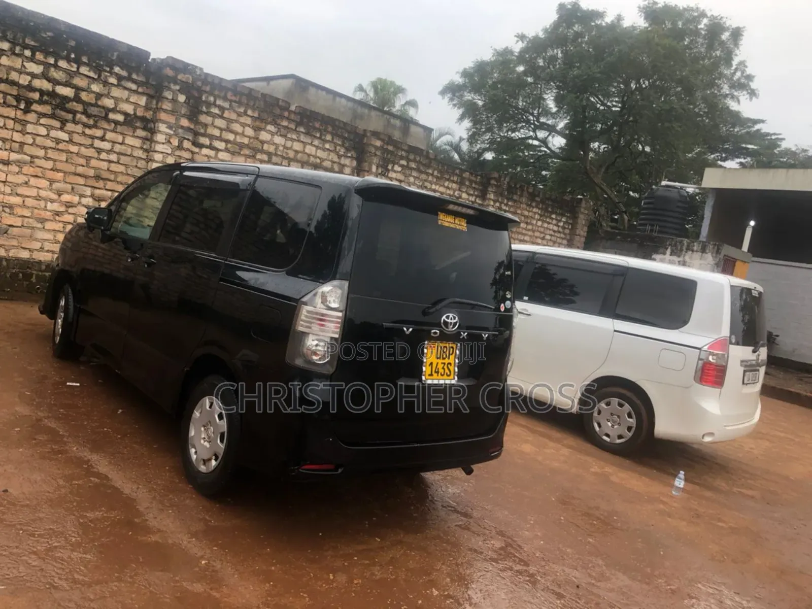Cars for Hire