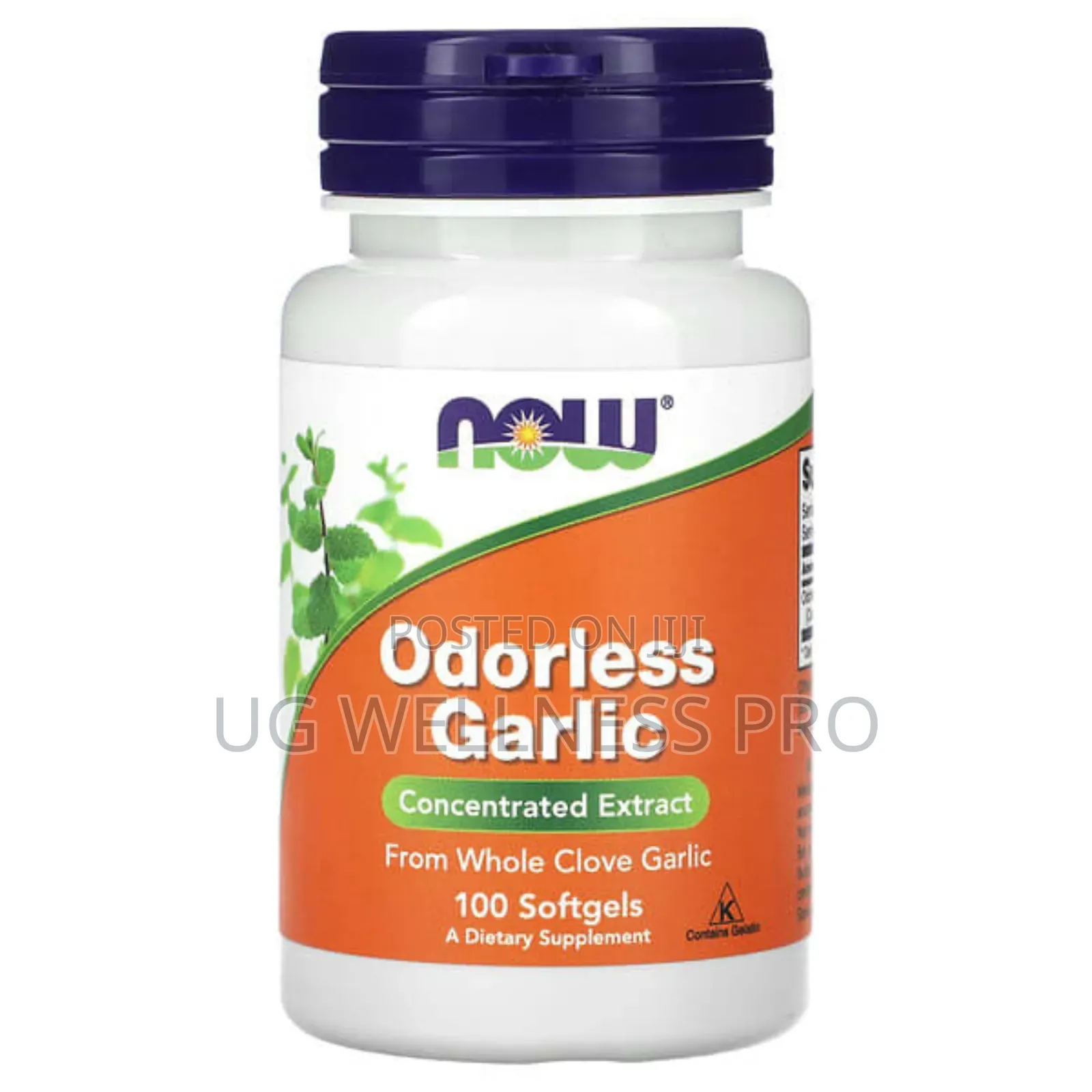 Odorless Garlic Concentrated Extract, 100 Softgels (25 Mg Per Softgel)