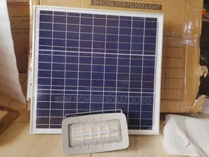 2.0 Blue Carbon Solar Floodlight