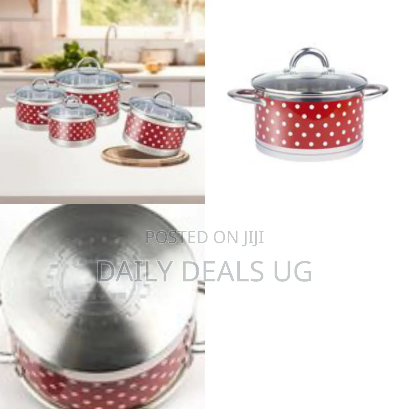 Set of Stainless Steel Induction Saucepan With Glass Lids and Handles