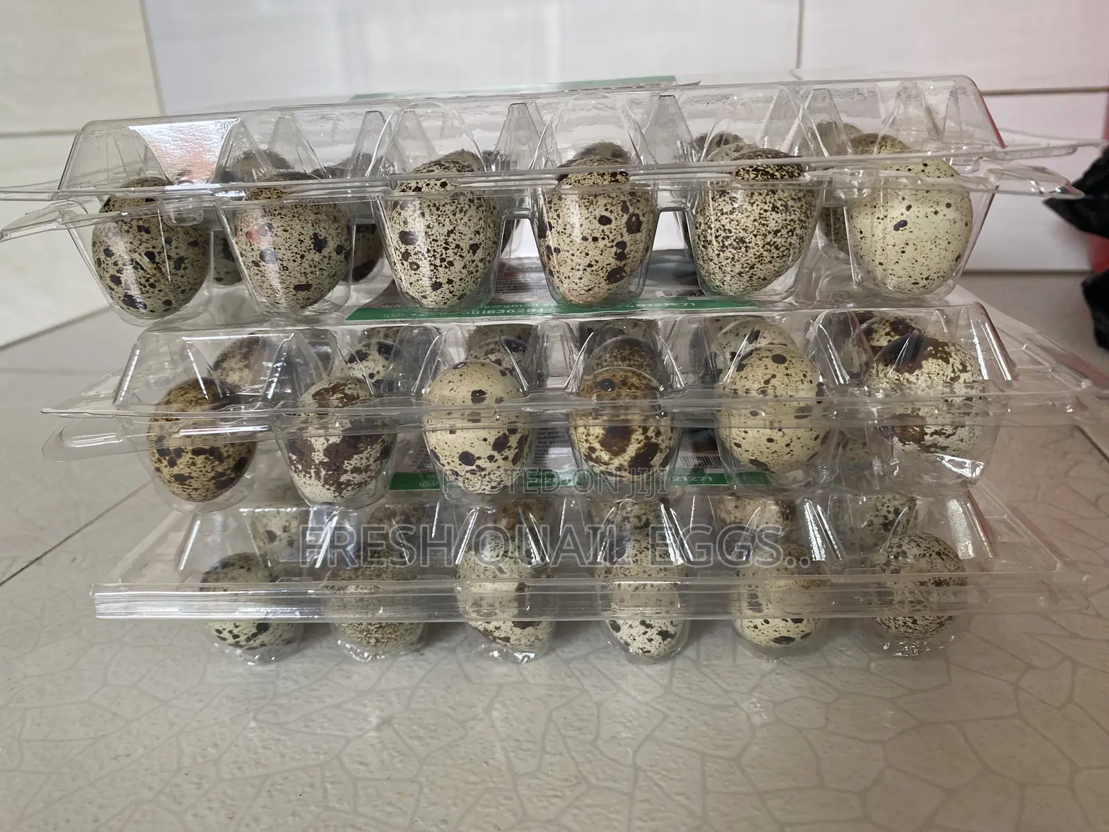 Quail Eggs