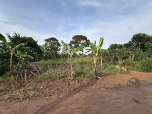 50*100ft Mailo Plot at Nakifuma-Kakinzi for Sale at Only 13m Only