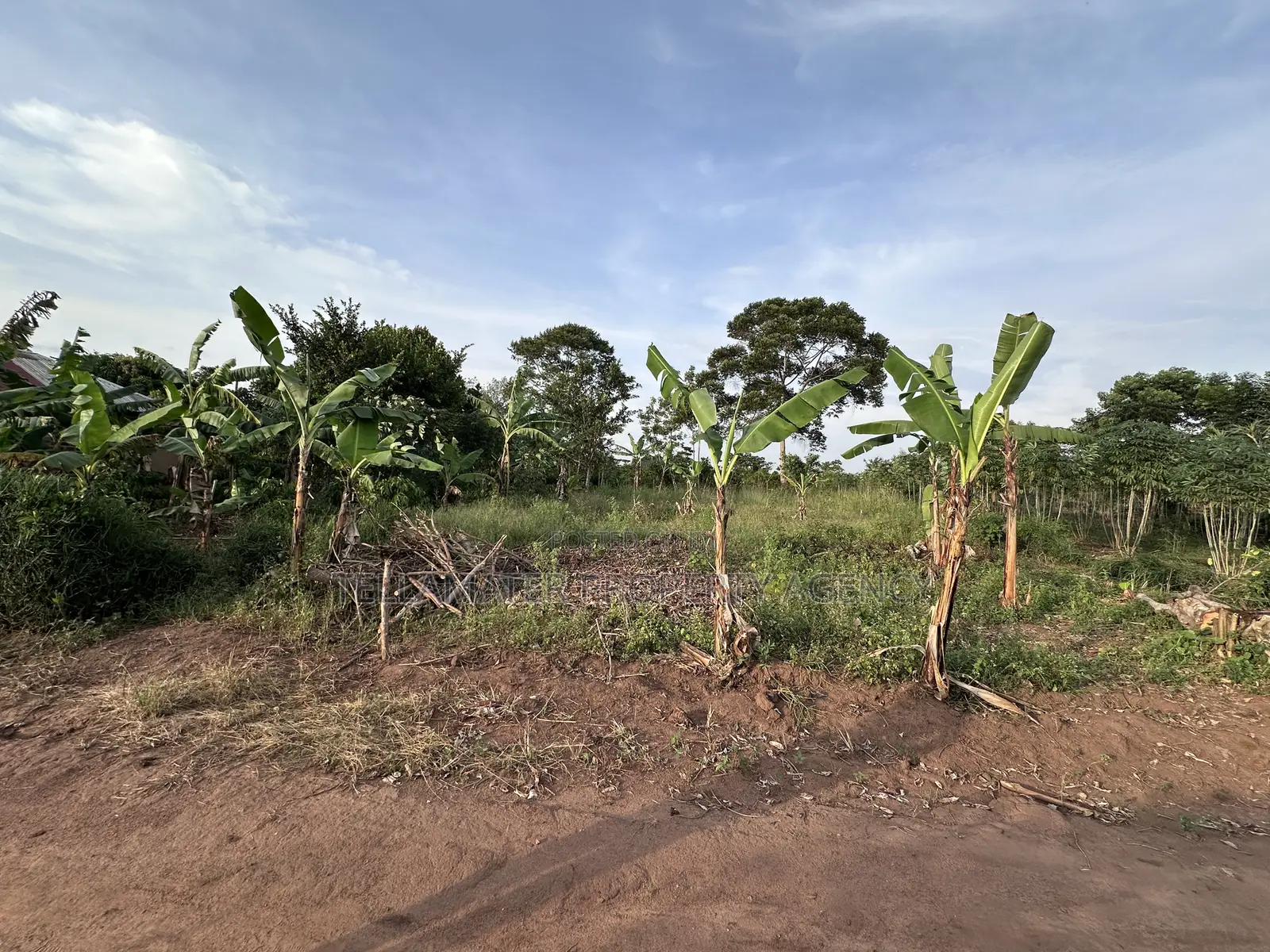 50*100ft Mailo Plot at Nakifuma-Kakinzi for Sale at Only 13m Only