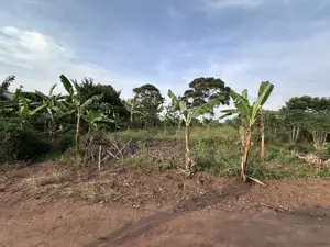 50*100ft Mailo Plot at Nakifuma-Kakinzi for Sale at Only 13m Only