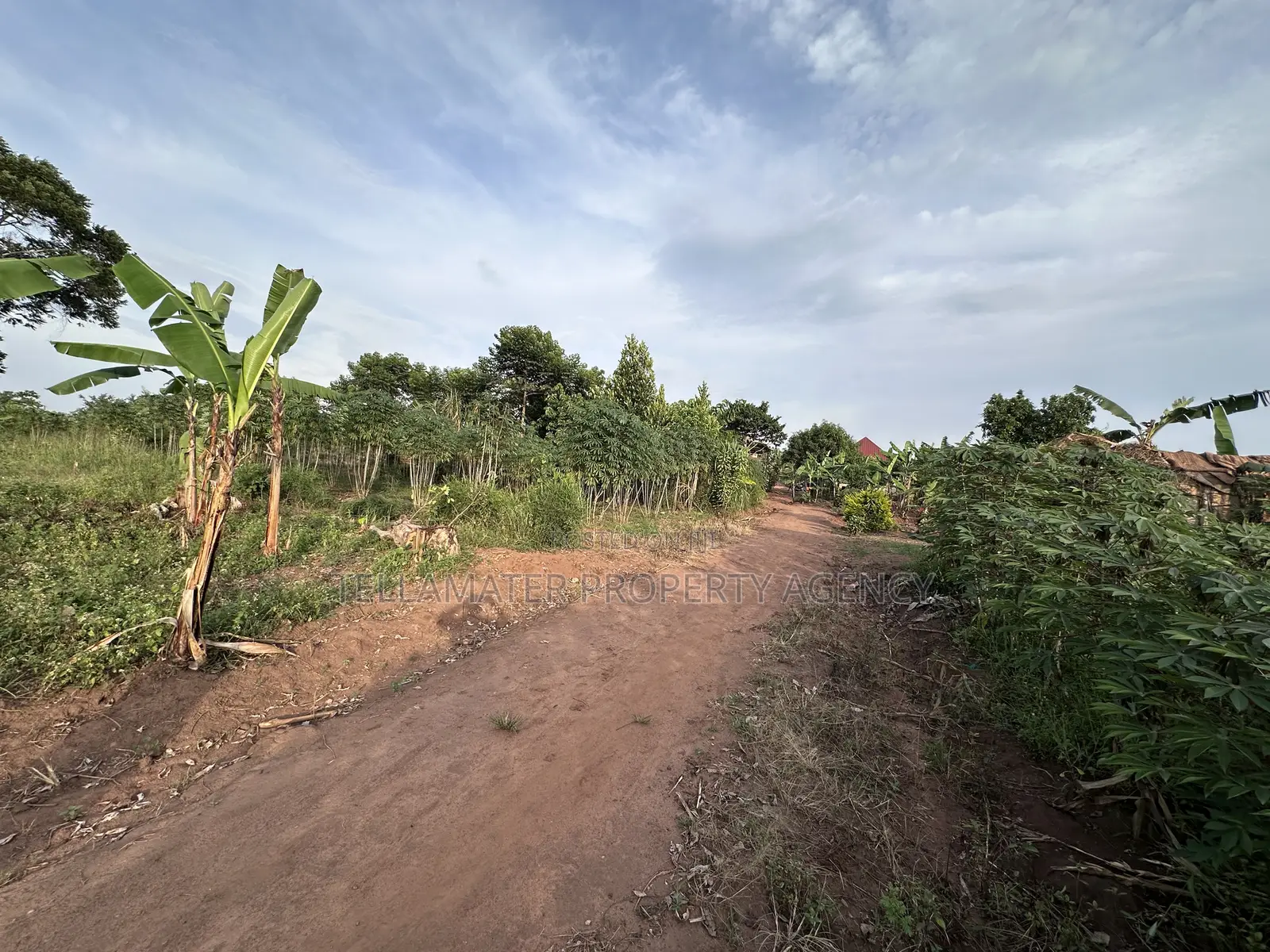 50*100ft Mailo Plot at Nakifuma-Kakinzi for Sale at Only 13m Only